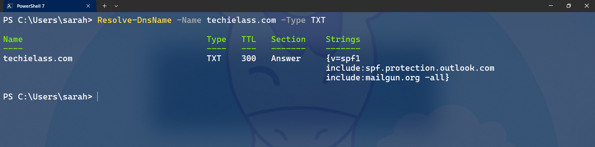 PowerShell TXT DNS record query