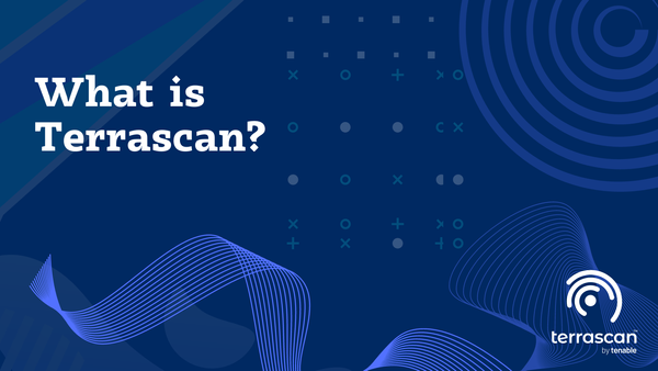 What is Terrascan?